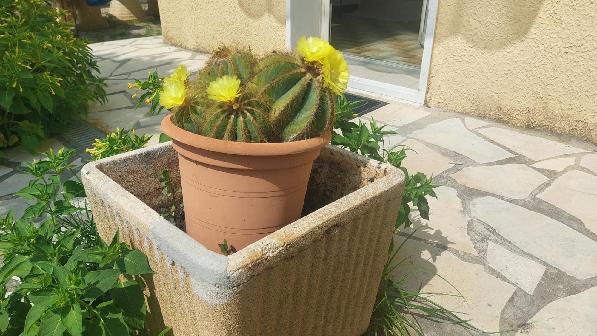 Belle Maison 140 M2 A 15 Mn De La Mer 10 Mn De Montpellier Teyran Екстериор снимка